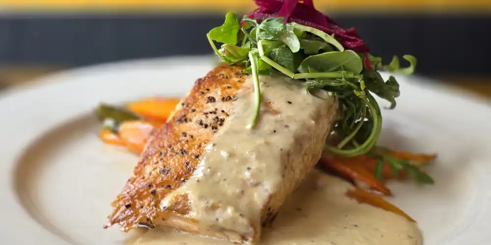 salmon